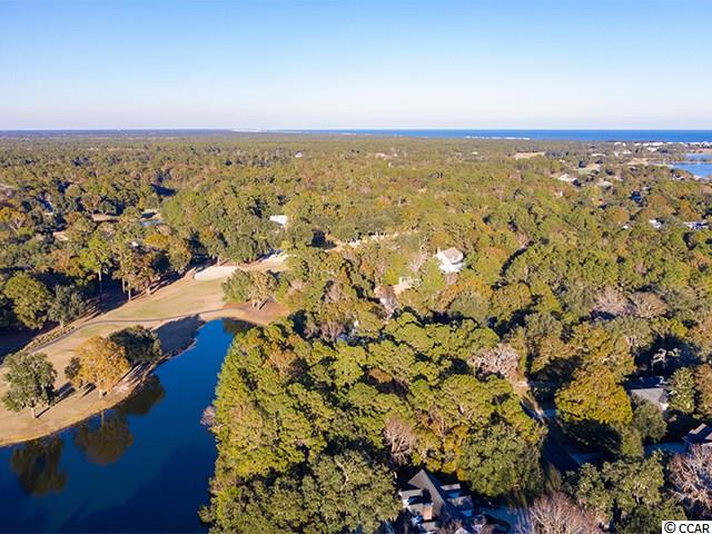 Lot 205 Pinckney Road Georgetown, SC 29440 - Photo 7 of 11 Gallery Image 7