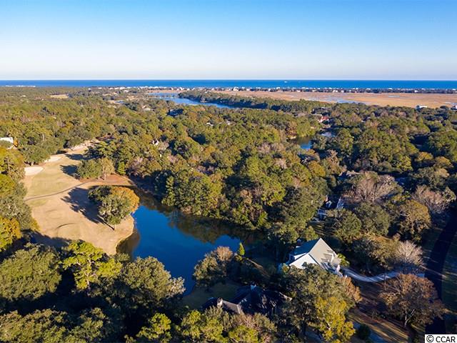 Lot 205 Pinckney Road Georgetown, SC 29440 - Photo 10 of 11 Gallery Image 10