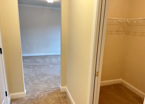 5 Myra Lane, Unit 5 Worcester, MA 01606 - Photo 8 of 11