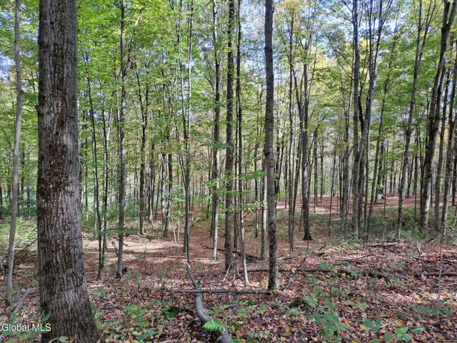 $949,900 | 1187 County Route 31, Granville, NY 12832