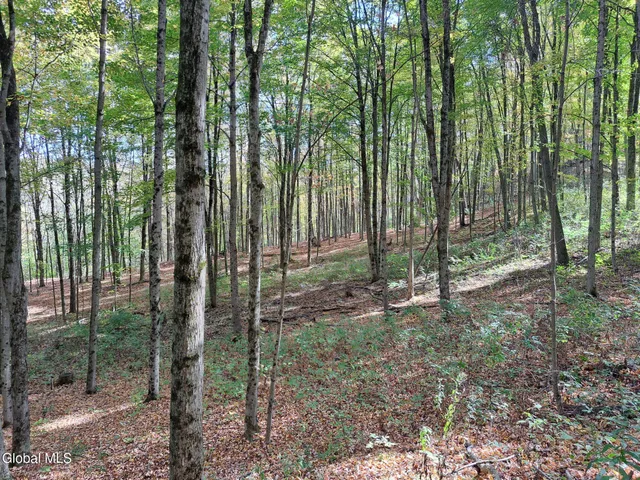 $949,900 | 1187 County Route 31, Granville, NY 12832