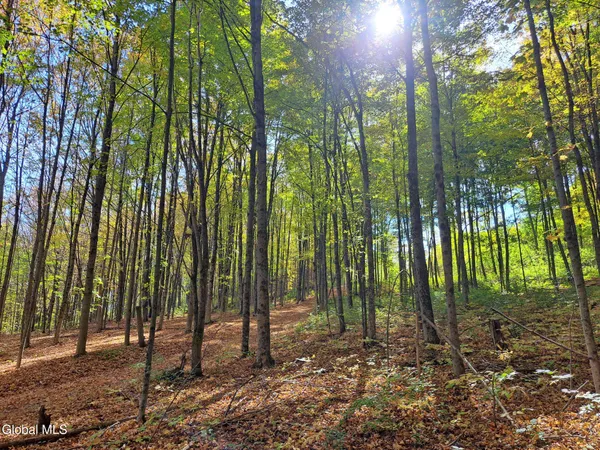 $899,000 | 1187 County Route 31, Granville, NY 12832
