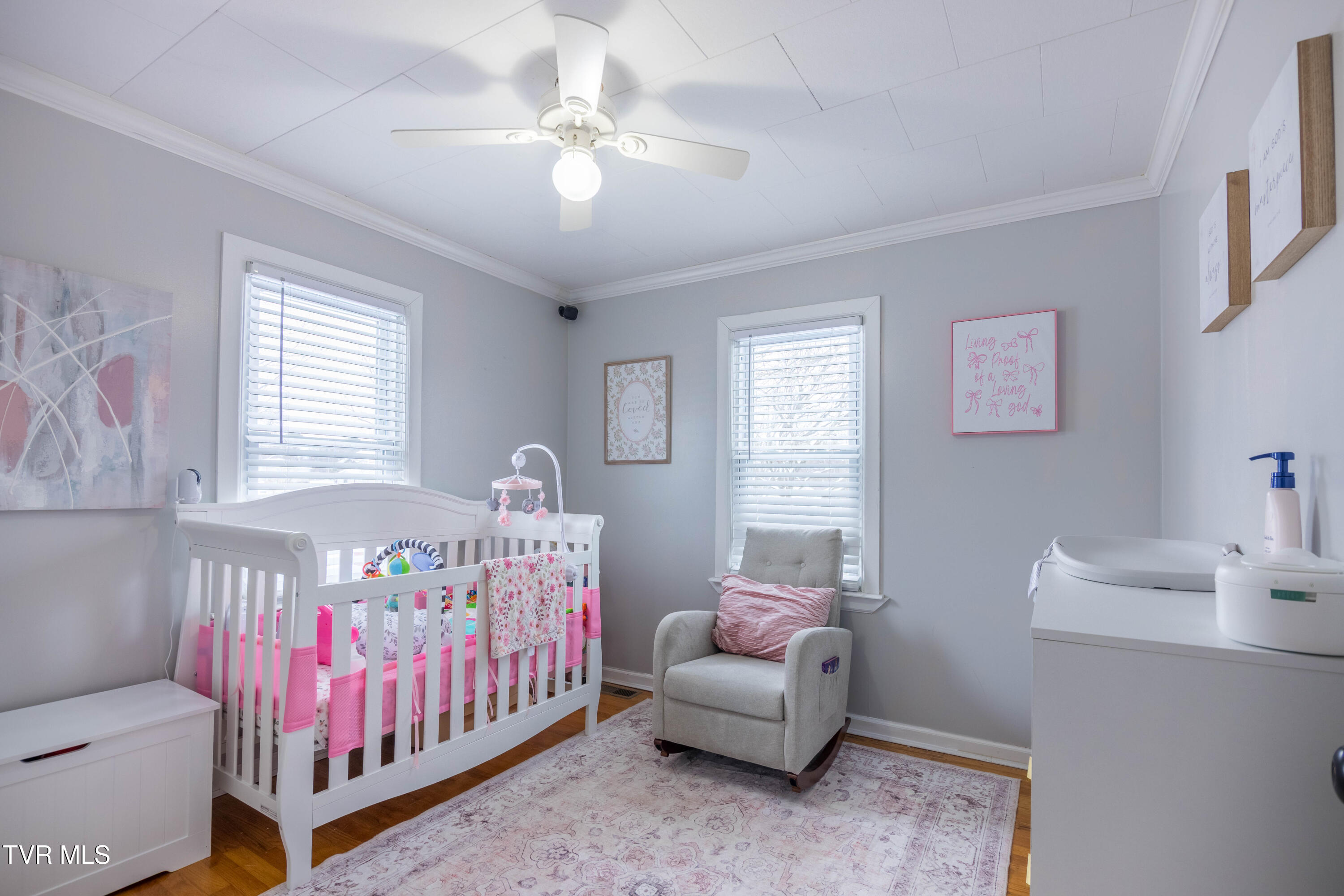 324 Juniper Street Greeneville, TN 37745 - Photo 18 of 21 087A1457-HDR