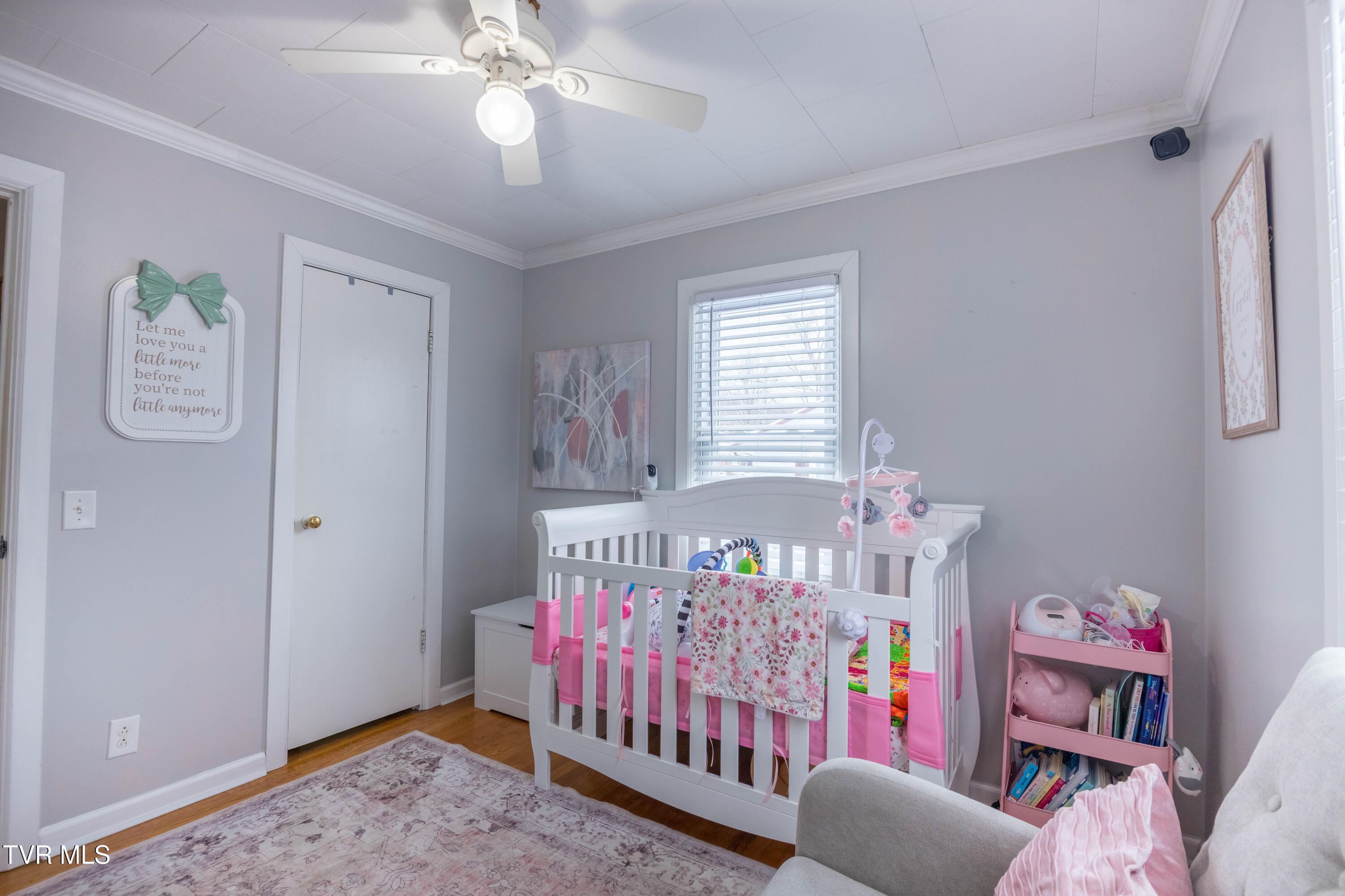 324 Juniper Street Greeneville, TN 37745 - Photo 19 of 21 087A1463-HDR