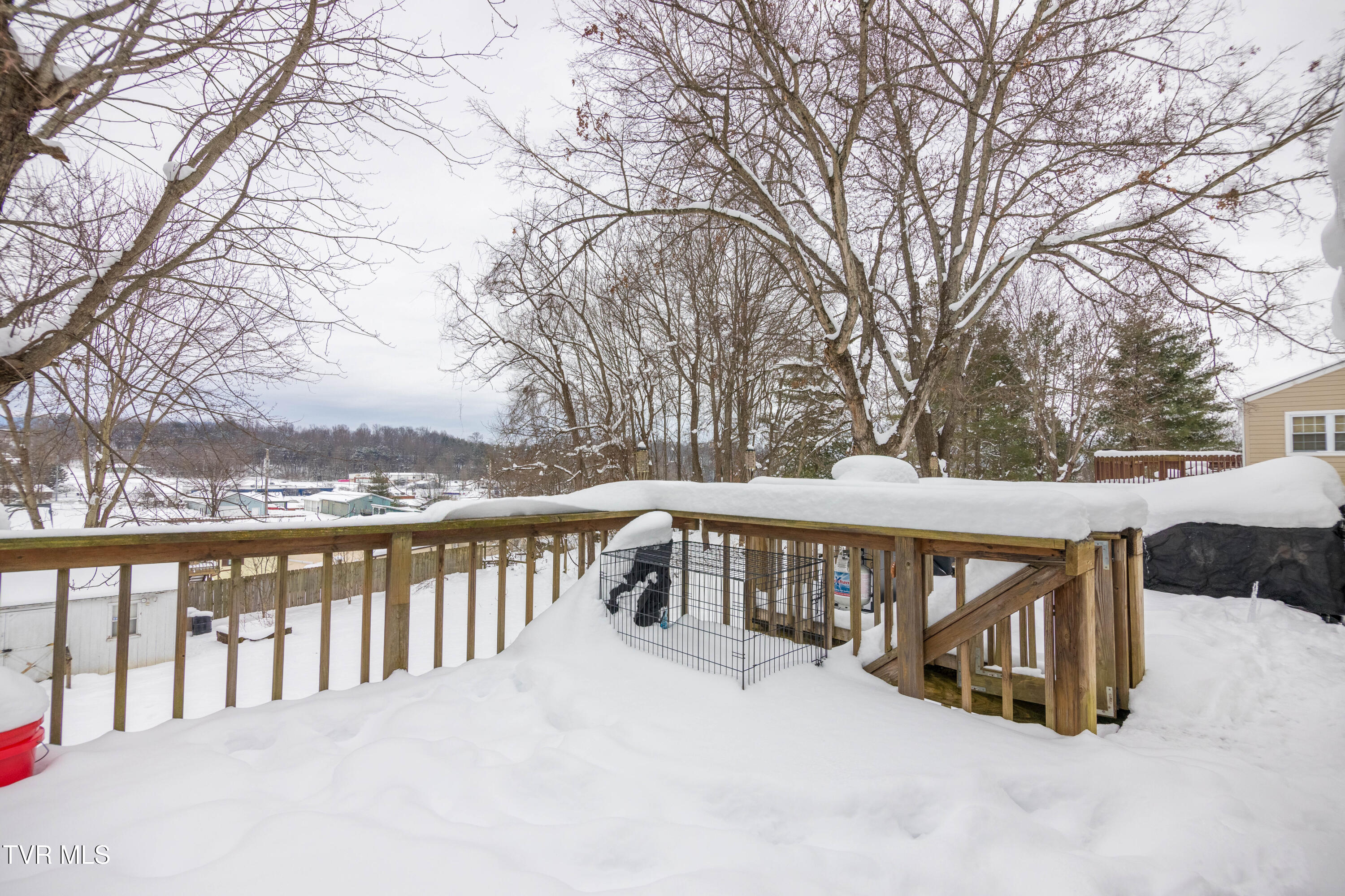 324 Juniper Street Greeneville, TN 37745 - Photo 21 of 21 087A1472-HDR