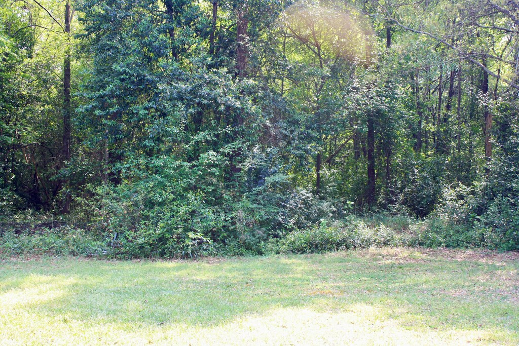 4328 Columbia Road Martinez, GA 30907 - Photo 21 of 21 Gallery Image 21