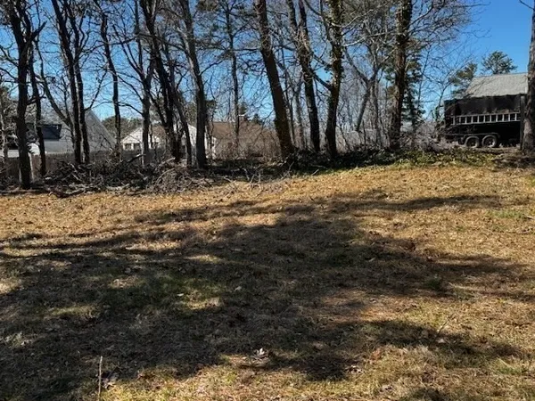 a view of a yard with trees