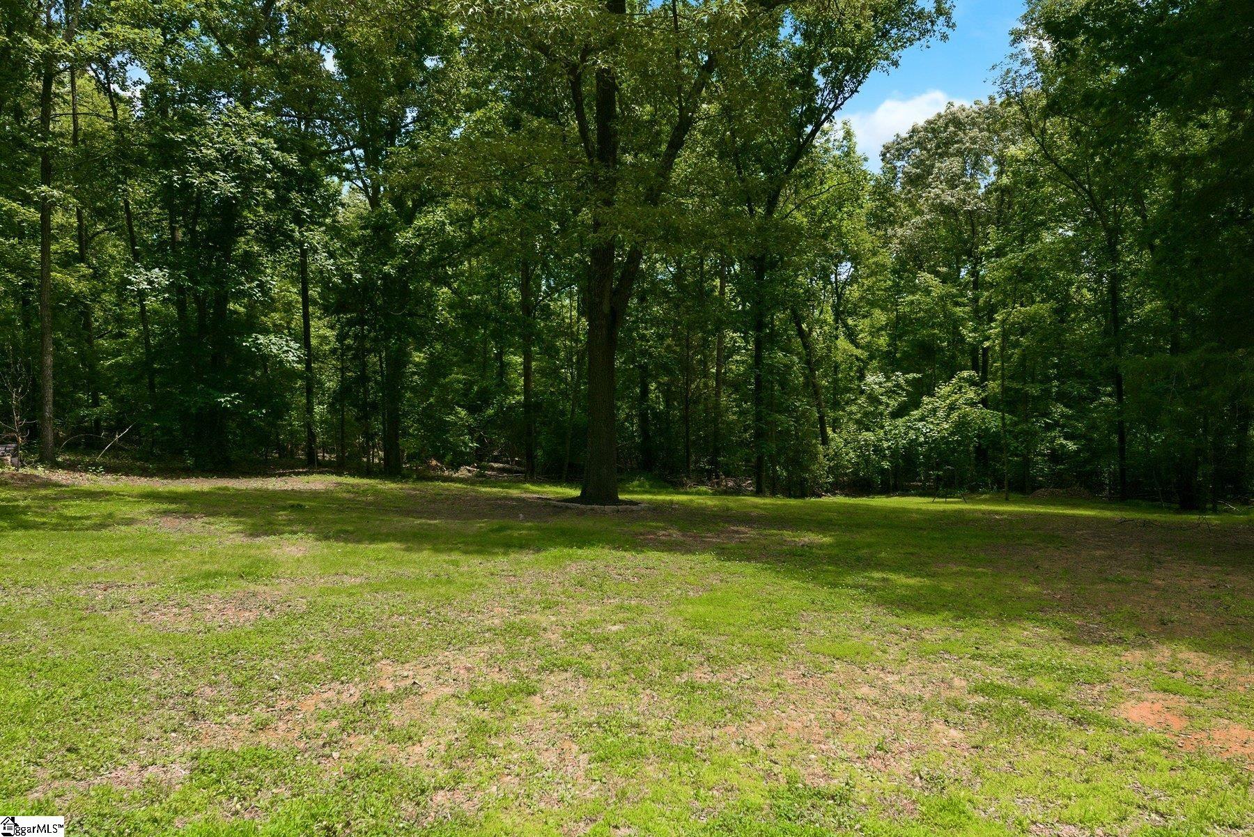160 Carolina Way Fountain Inn, SC 29644 - Photo 10 of 39 Gallery Image 10