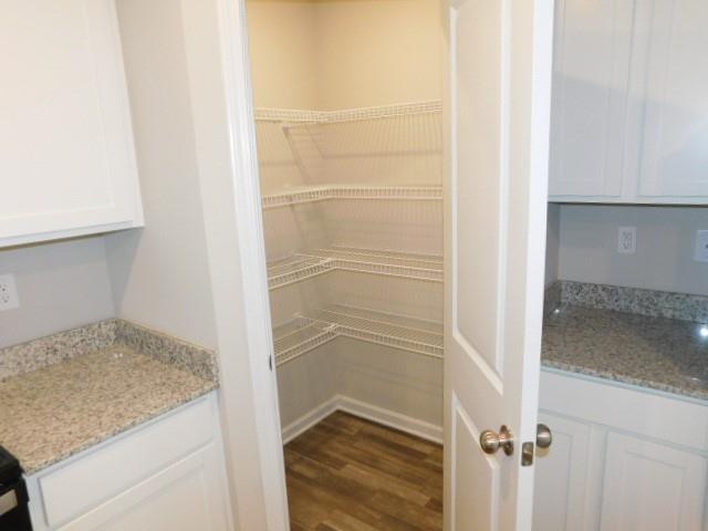 343 Indian Lake Trail Villa Rica, GA 30180 - Photo 9 of 29 a view of walk in closet