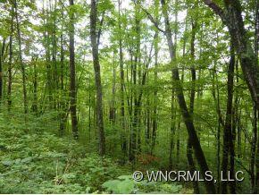 0 Mule Stomp Road Clyde, NC 28721 - Photo 2 of 7