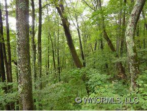 0 Mule Stomp Road Clyde, NC 28721 - Photo 3 of 7