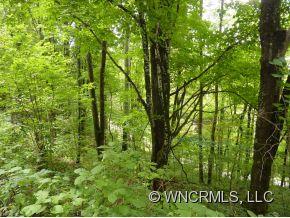 0 Mule Stomp Road Clyde, NC 28721 - Photo 4 of 7
