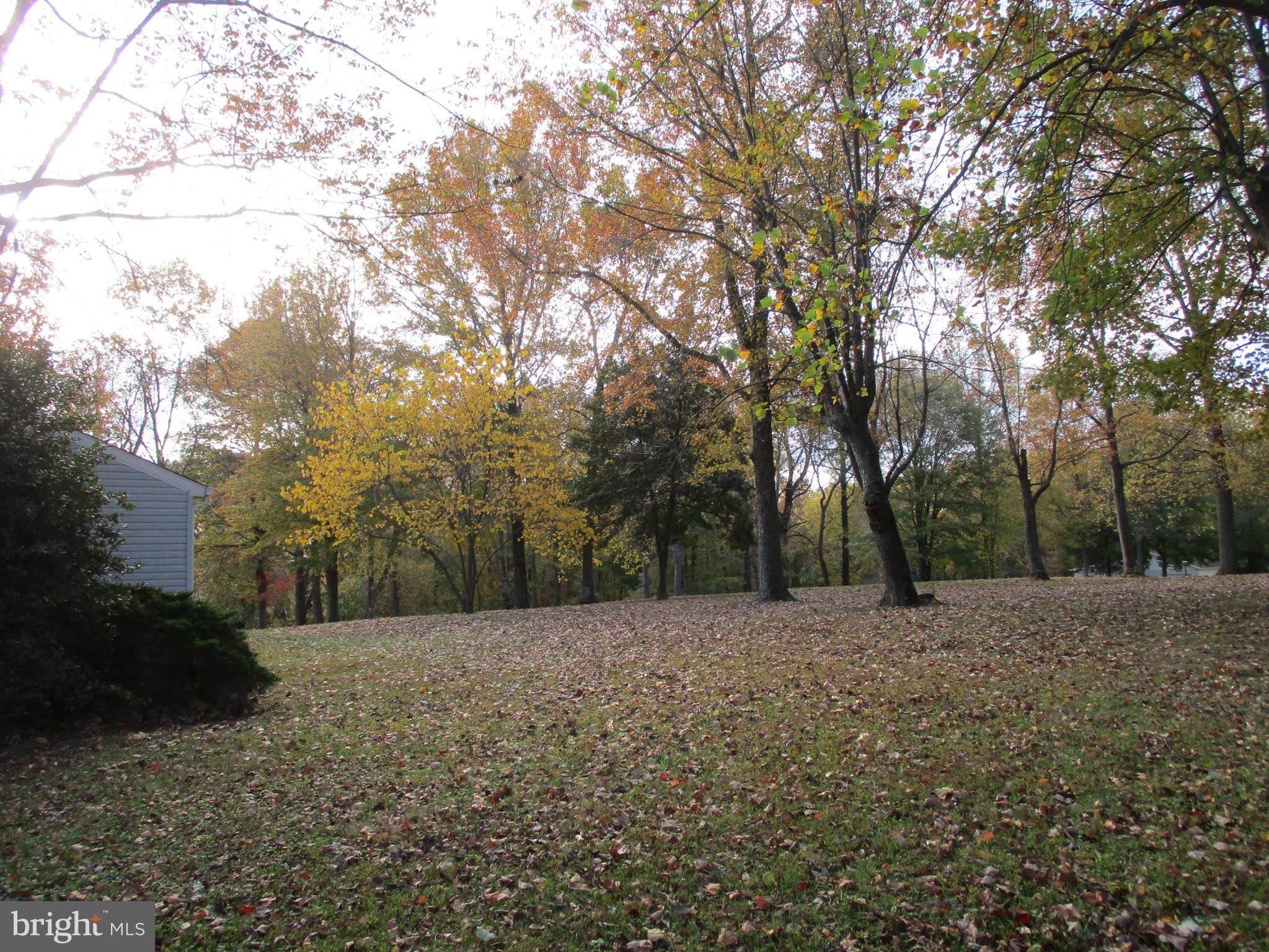 Beautiful View Lot Oldfield Point Road Elkton, MD 21921 - Photo 30 of 44 a view of a field with trees in the background