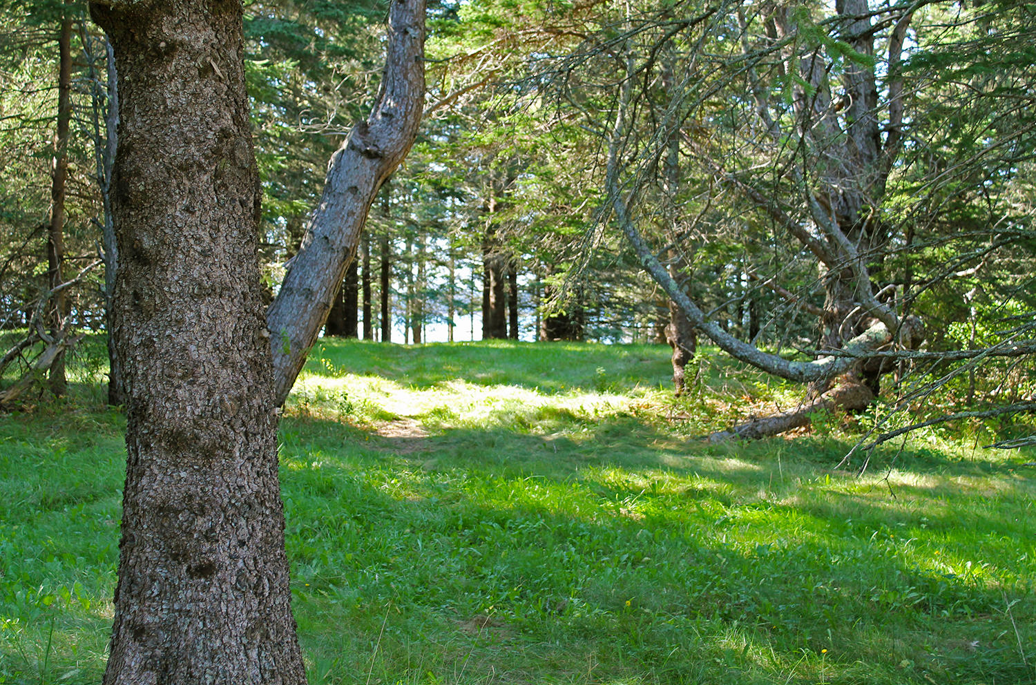 113 Lopaus Point Road Bernard, ME 04612 - Photo 12 of 23 IMG_4997