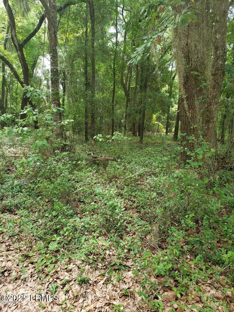 8 Hand Road St. Helena Island, SC 29920 - Photo 1 of 1 8 hand drive