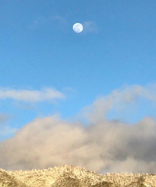 0 Th Road Squaw Valley, CA 93675 - Photo 23 of 38