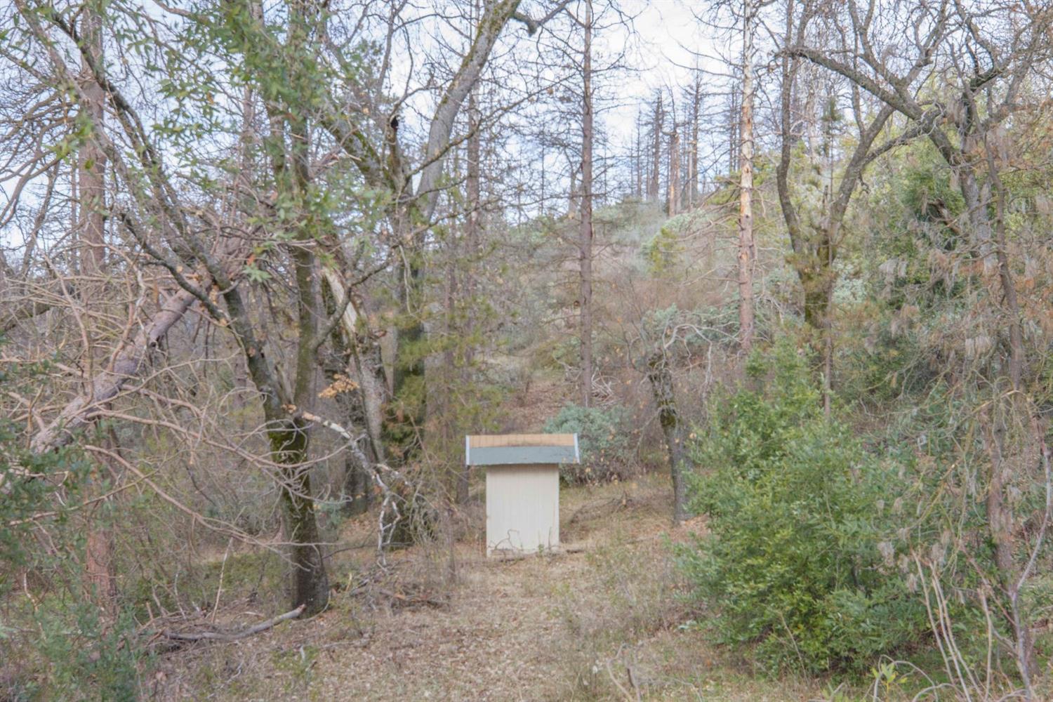 0 Th Road Squaw Valley, CA 93675 - Photo 34 of 38