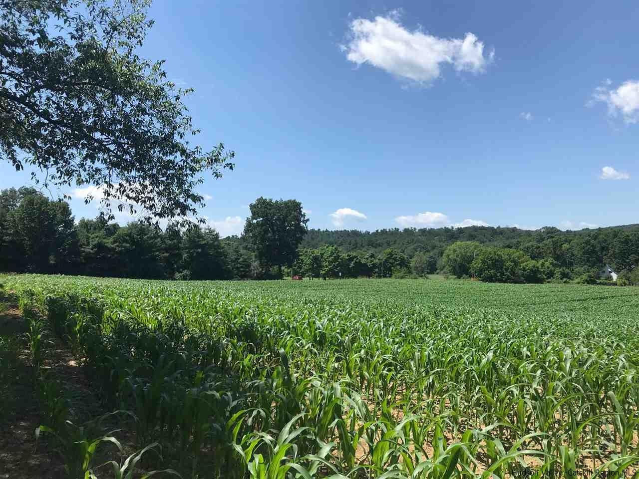 Tbd Tbd Mill Dam Stone Ridge, NY 12484 - Photo 1 of 7 Photo 1