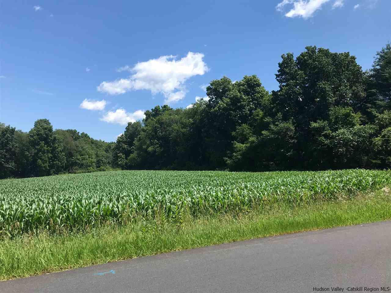 Tbd Tbd Mill Dam Stone Ridge, NY 12484 - Photo 3 of 7 Photo 3