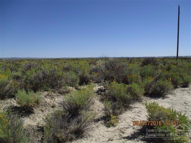 1300 Fossil Lake Road Christmas Valley, OR 97641 - Photo 1 of 5 Primary Photo