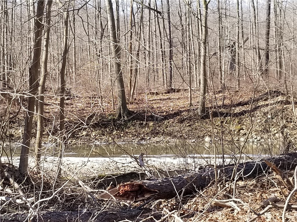 0 Custer Orangeville Road Masury, OH 44438 - Photo 10 of 14 Gallery Image 10