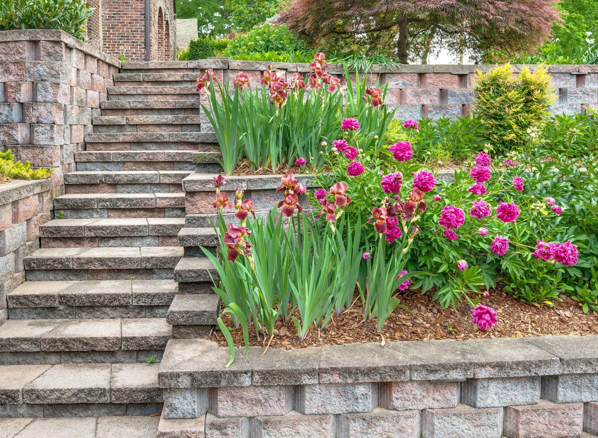 3635 Valley Vista Road Nashville, TN 37205 - Photo 10 of 78