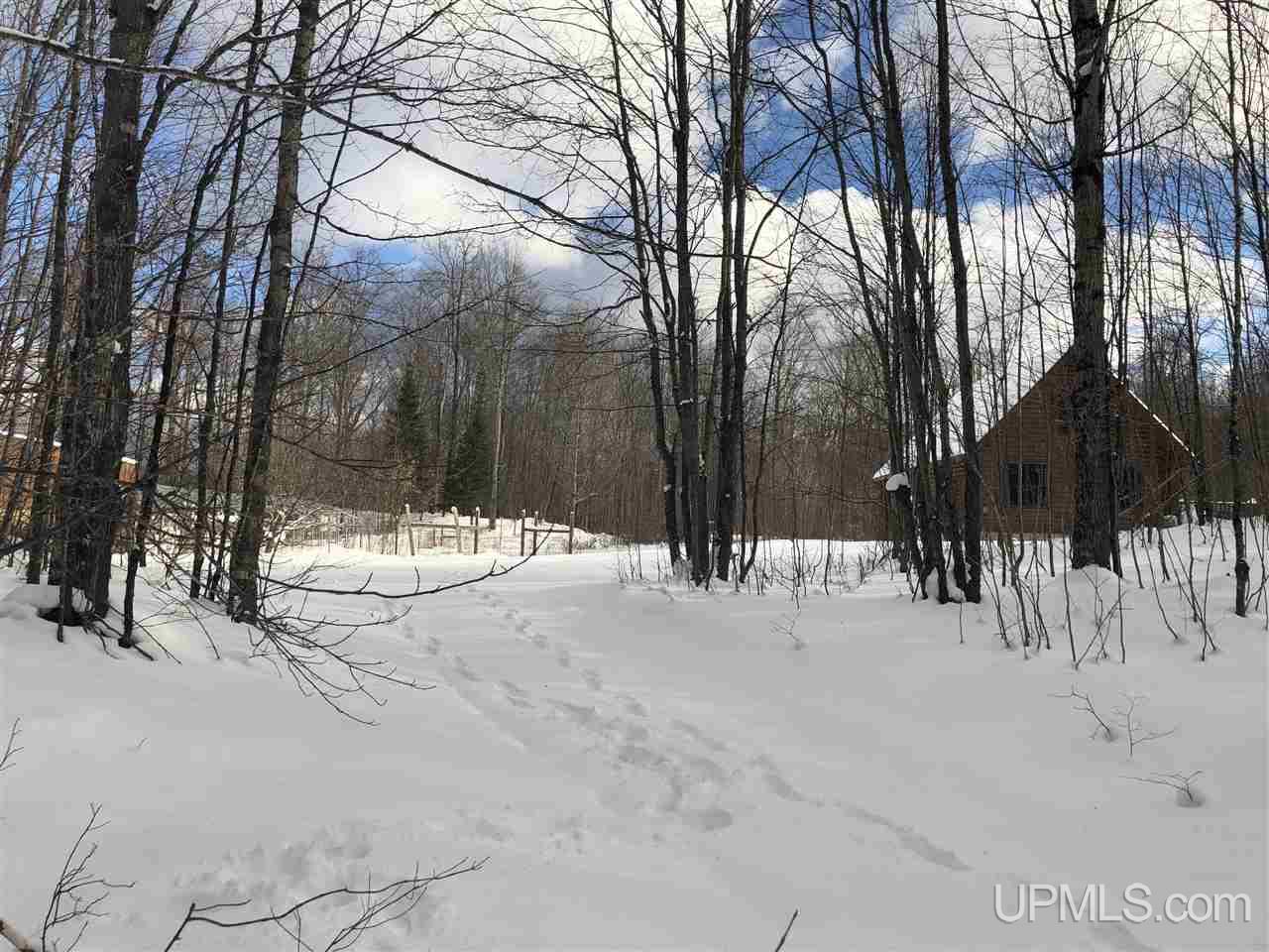 E4449 26 Road Chatham, MI 49816 - Photo 8 of 43