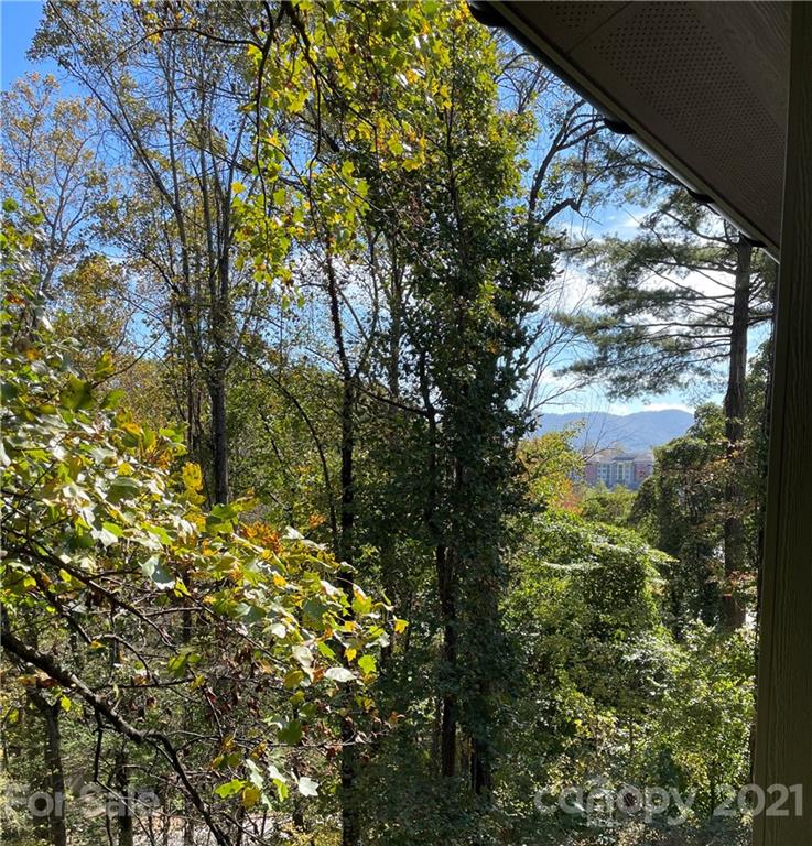 83 Caledonia Road, Unit 9 Asheville, NC 28803 - Photo 4 of 4 Gallery Image 4