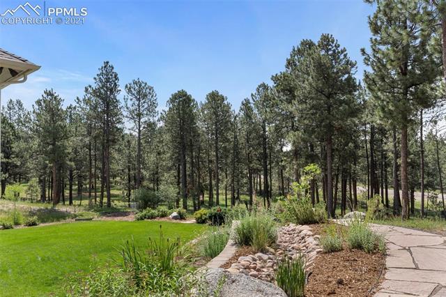 4661 High Forest Road Colorado Springs, CO 80908 - Photo 3 of 50 Gallery Image 3