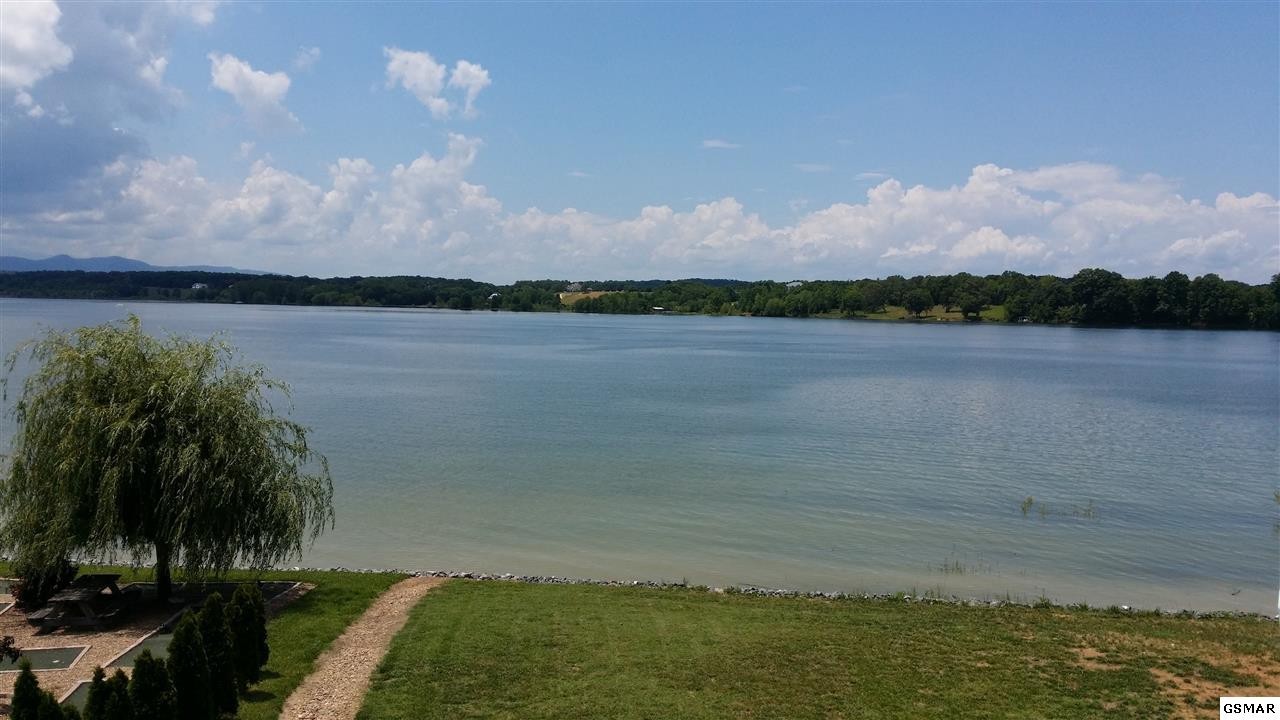 49 Ivy Way Newport, TN 37821 - Photo 8 of 12 Gallery Image 8