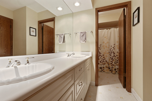 3480 Chalet Lane Crete, IL 60417 - Photo 12 of 20