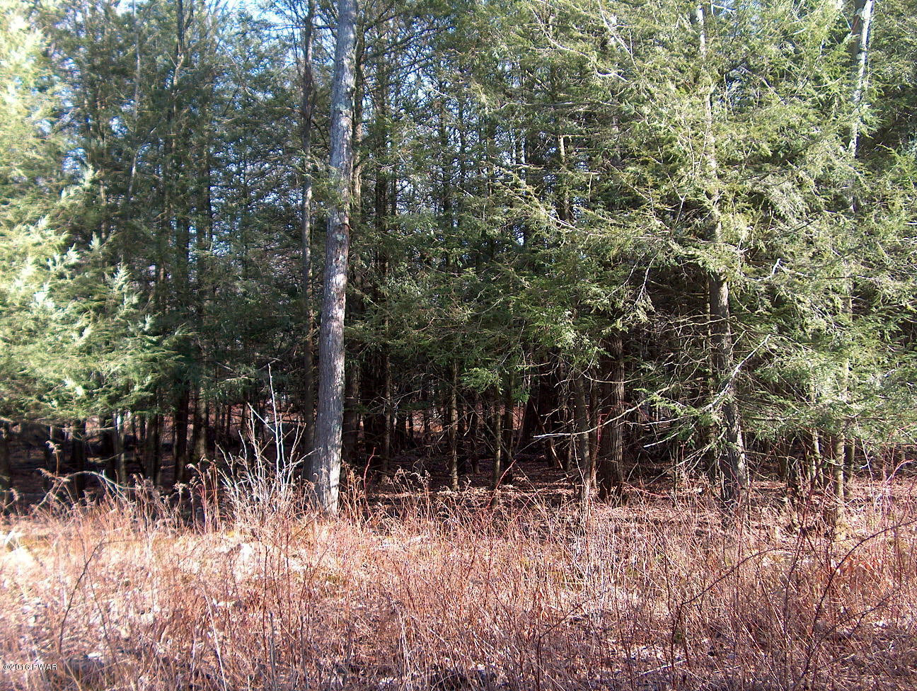 114 Phillips Road Newfoundland, PA 18445 - Photo 6 of 7