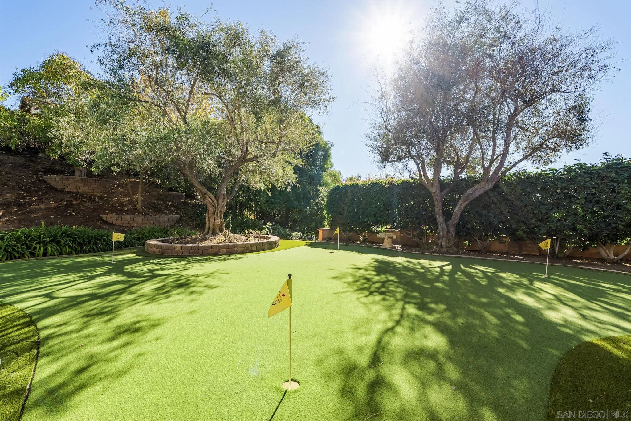 18486 Via Candela Rancho Santa Fe, CA 92091 - Photo 24 of 34 a view of yard with swimming pool