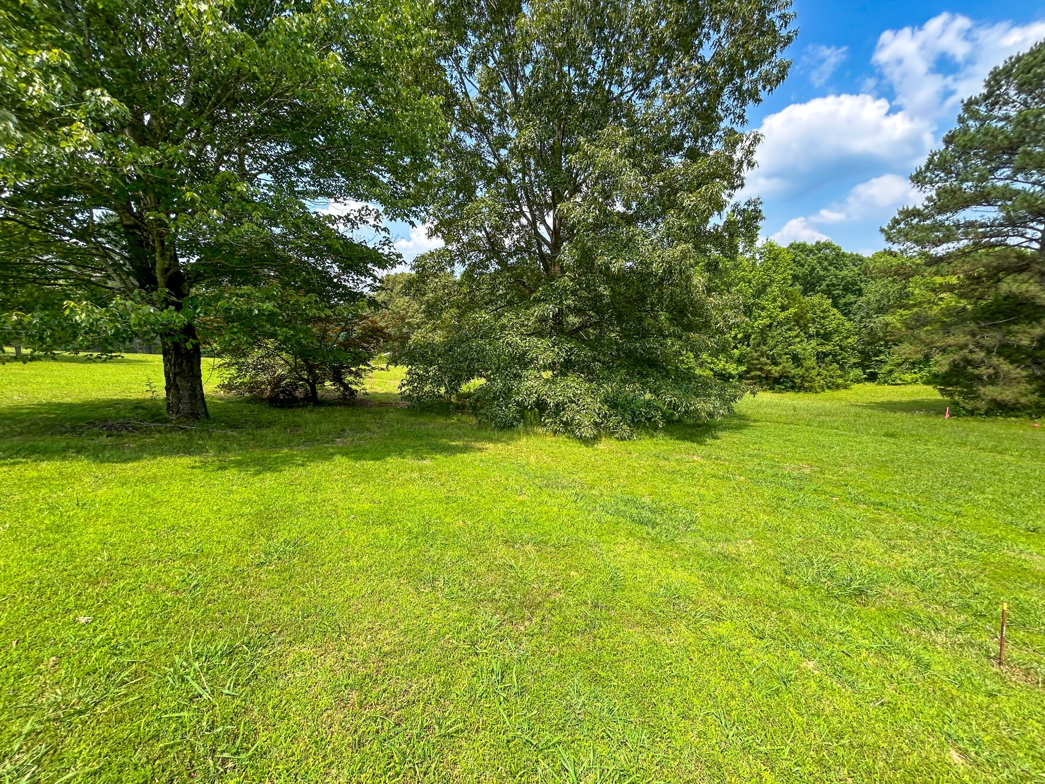 156 Davis Kee Road Camden, TN 38320 - Photo 5 of 21 Gallery Image 5
