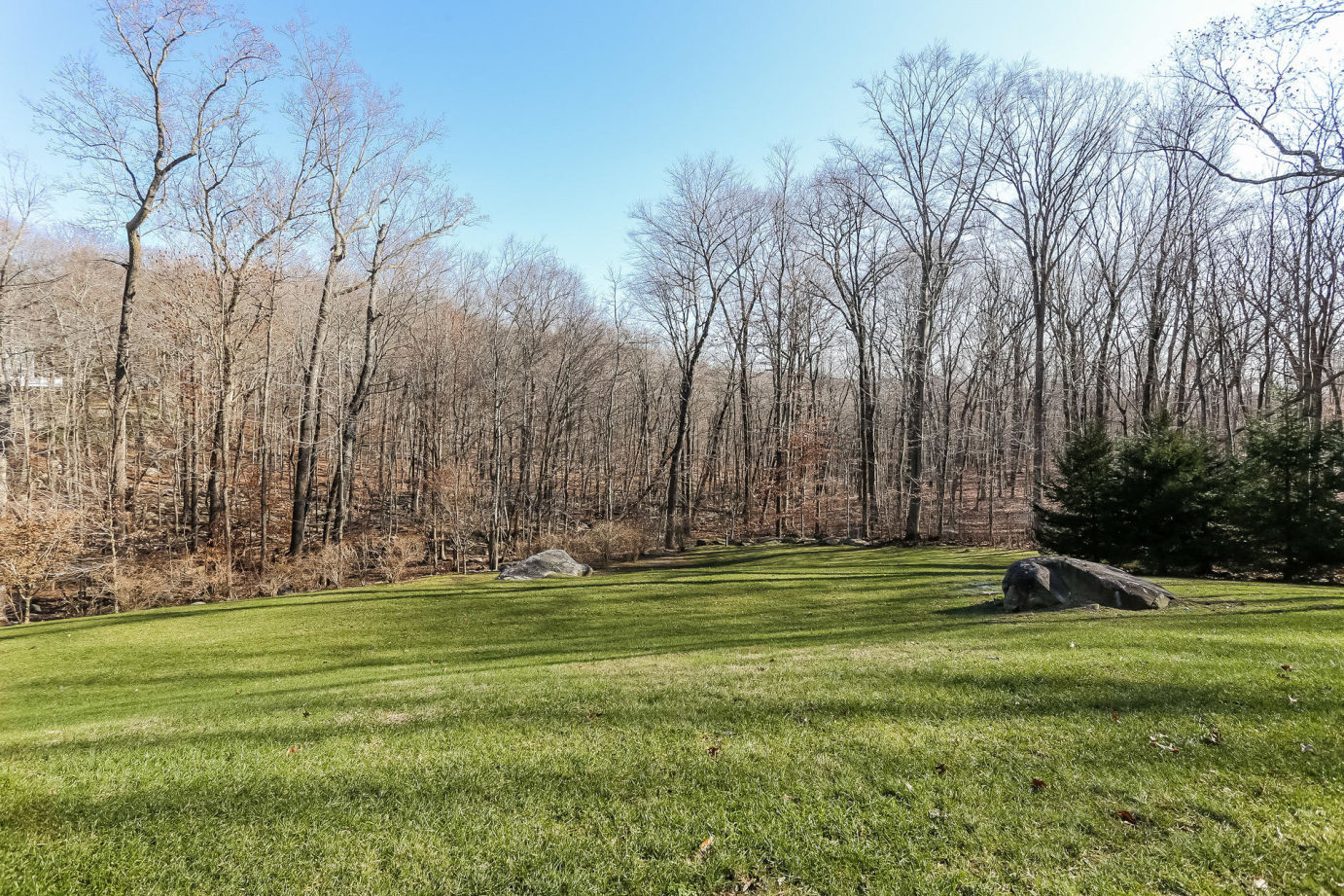 131 Thayer Pond Road New Canaan, CT 06840 - Photo 17 of 21 a view of a park with large trees