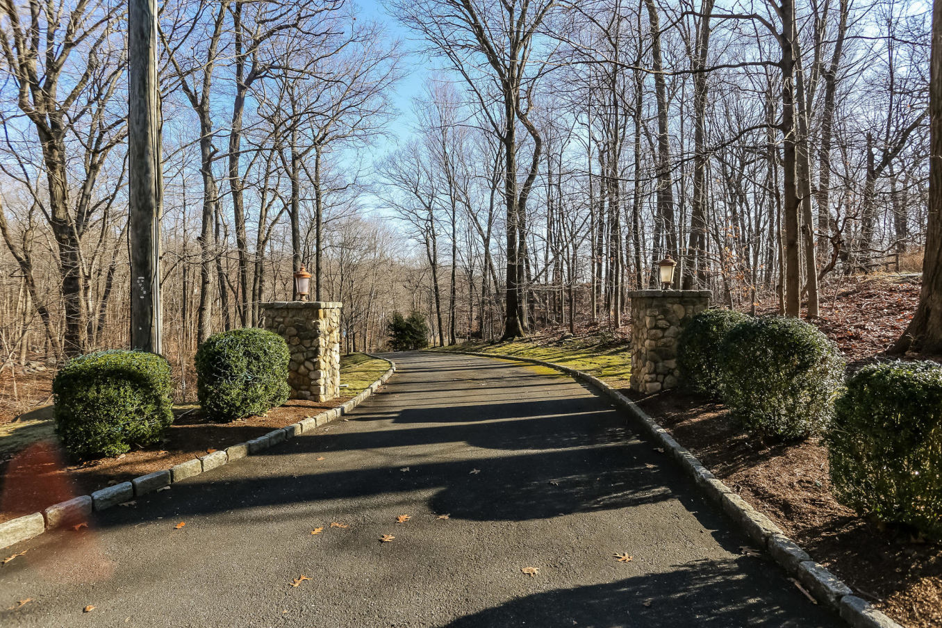 131 Thayer Pond Road New Canaan, CT 06840 - Photo 18 of 21 a view of backyard with large trees