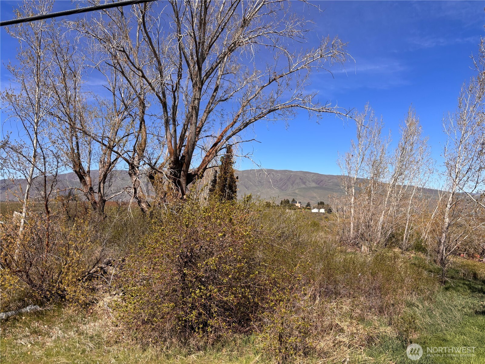 0 Rosenkranz Road Tieton, WA 98947 - Photo 2 of 5