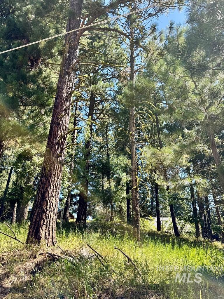 697 North Samson Trail McCall, ID 83638 - Photo 2 of 4