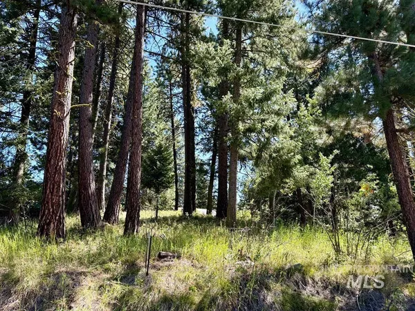 $207,000 | 697 North Samson Trail, McCall, ID 83638