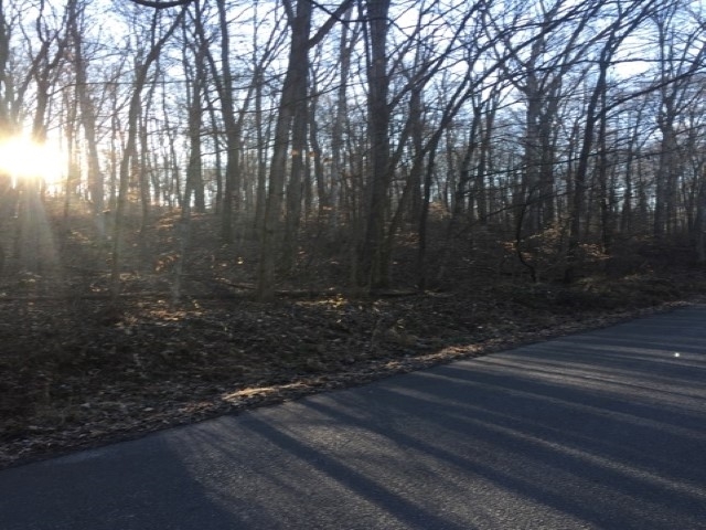 Wickliffe Road Birdseye, IN 47513 - Photo 2 of 6