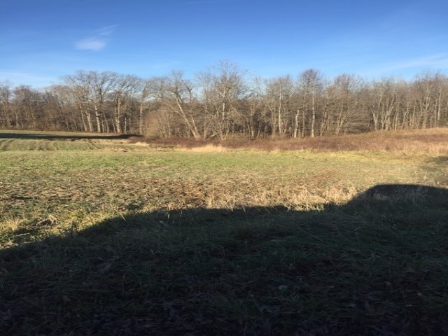 Wickliffe Road Birdseye, IN 47513 - Photo 3 of 6