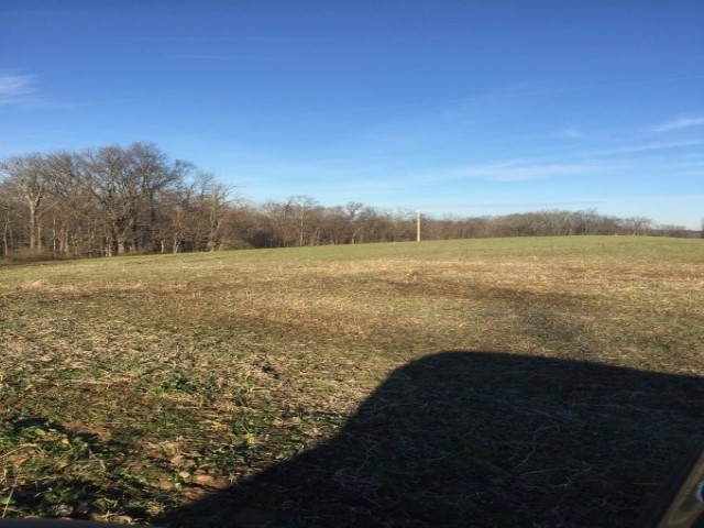 Wickliffe Road Birdseye, IN 47513 - Photo 5 of 6