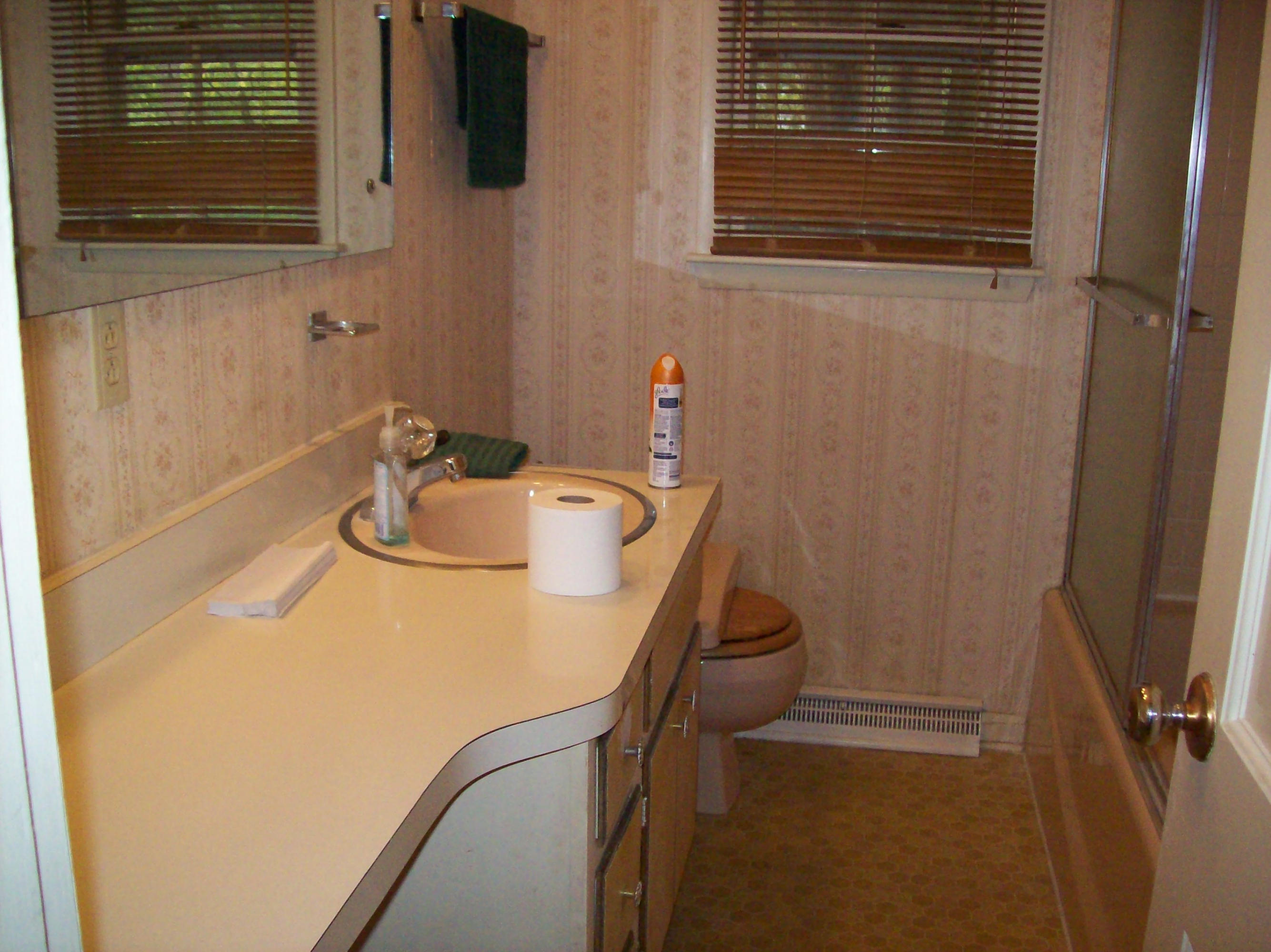 100 Albright Road Oak Ridge, TN 37830 - Photo 14 of 26 Main Level Bathroom