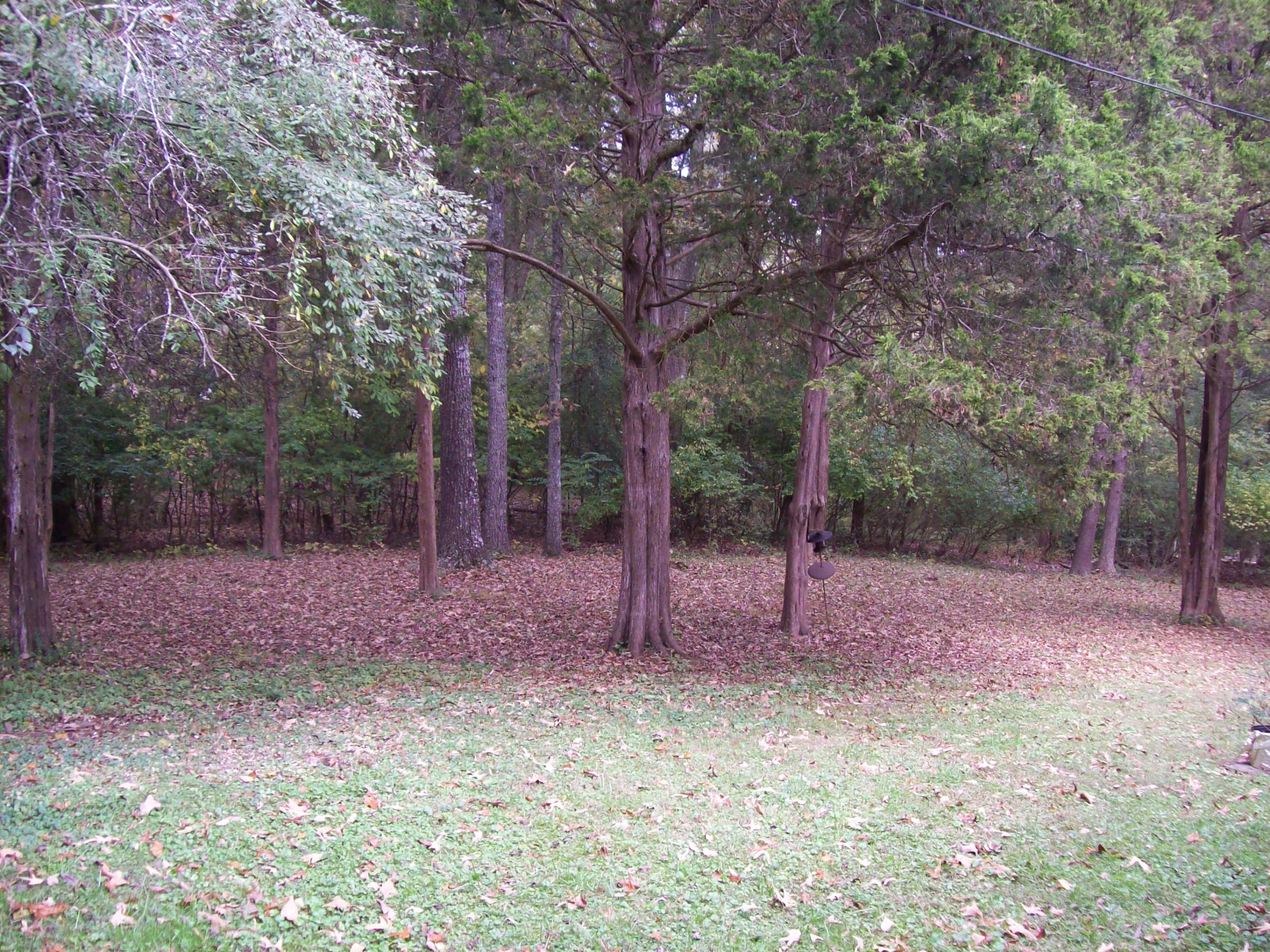 100 Albright Road Oak Ridge, TN 37830 - Photo 3 of 26 View of Mostly Level Back Yard
