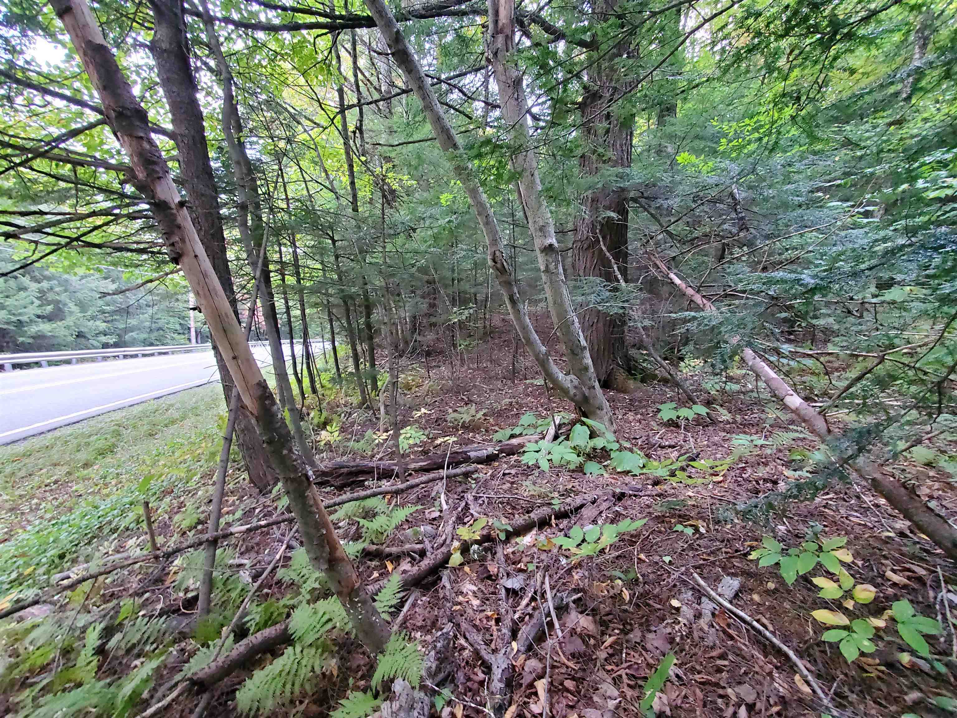 209 Vermont Rte 100 Whitingham, VT 05342 - Photo 11 of 13 Gallery Image 11