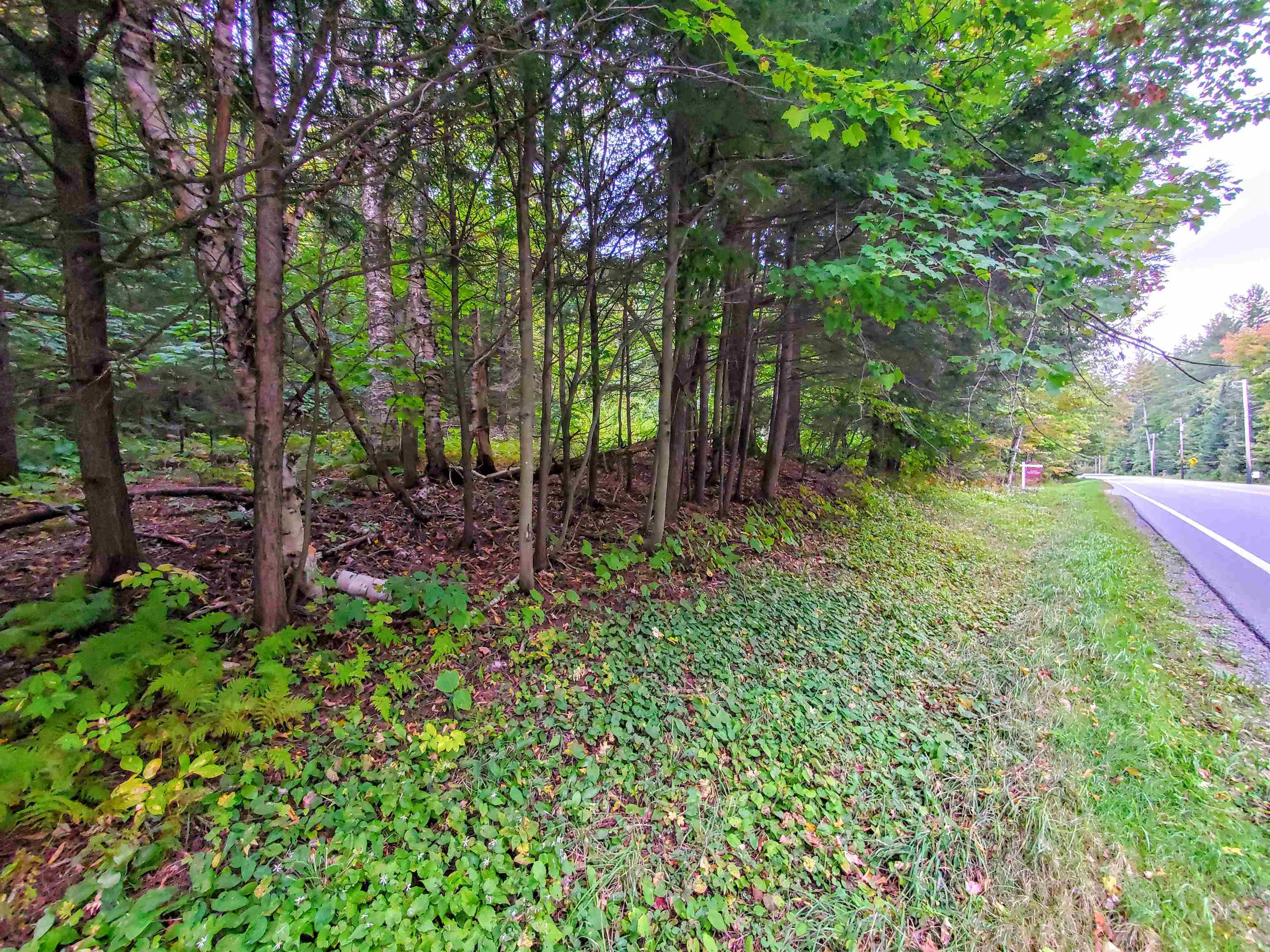 209 Vermont Rte 100 Whitingham, VT 05342 - Photo 13 of 13 Gallery Image 13