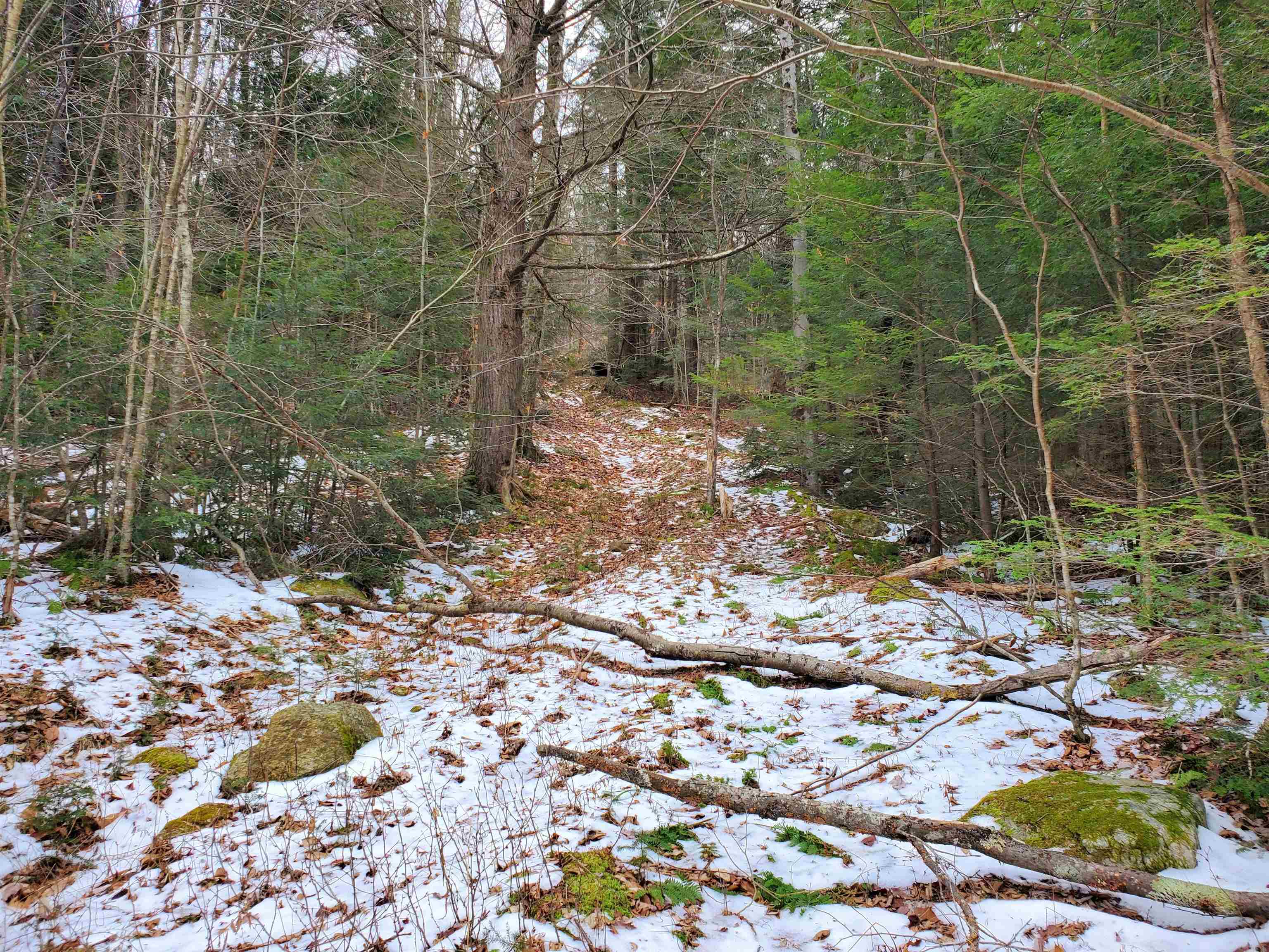 209 Vermont Rte 100 Whitingham, VT 05342 - Photo 3 of 13 Gallery Image 3