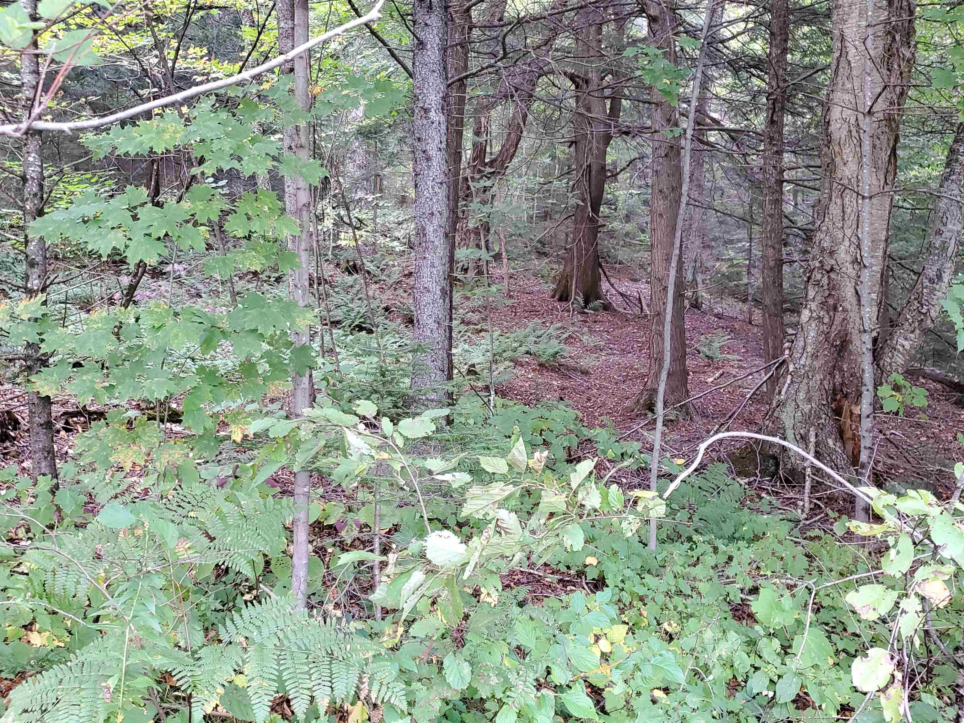 209 Vermont Rte 100 Whitingham, VT 05342 - Photo 9 of 13 Gallery Image 9