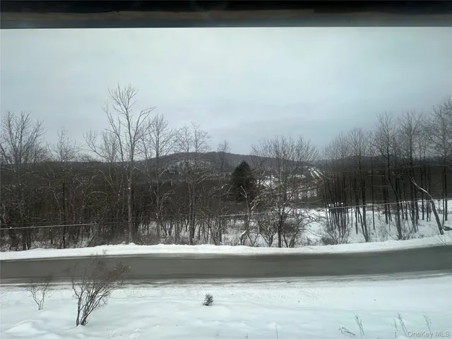 $3,700 | 161 Hazel Road, Livingston Manor, NY 12758