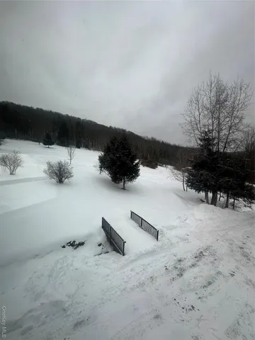 $3,700 | 161 Hazel Road, Livingston Manor, NY 12758